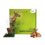 INDIAN KASTURI  NATURAL MASALA DHOOP CUP